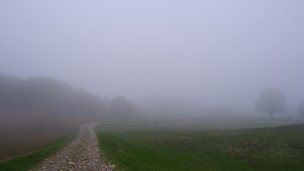nebbia 