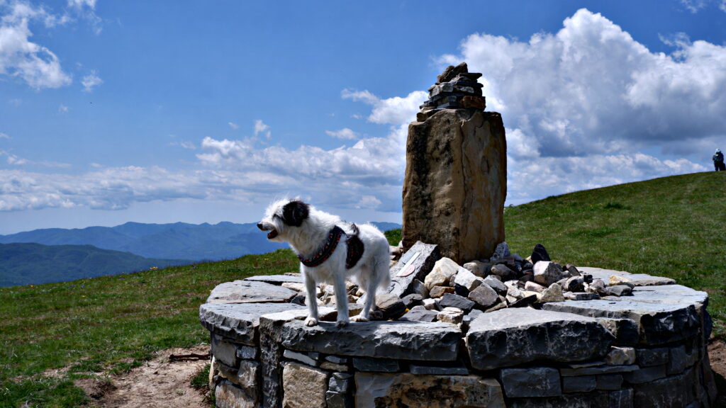 Maia sul Monte Valoria